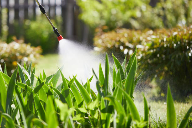 24/7 Emergency Ant Control experts in Dwight, IL