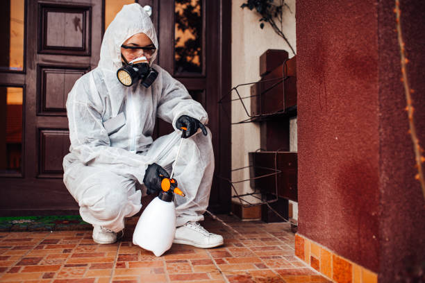 Reliable Ant Control contractor in Dwight, IL by Nex Pest Control